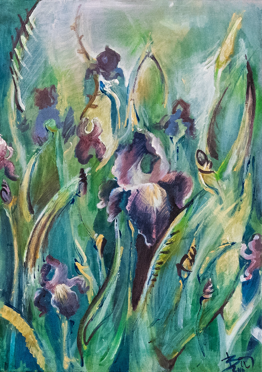  Iris