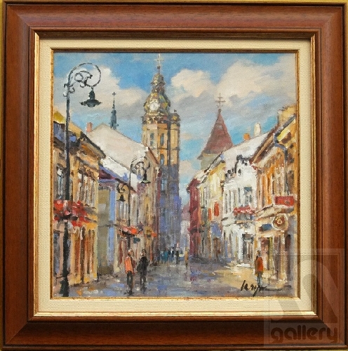 Mlynská ulica