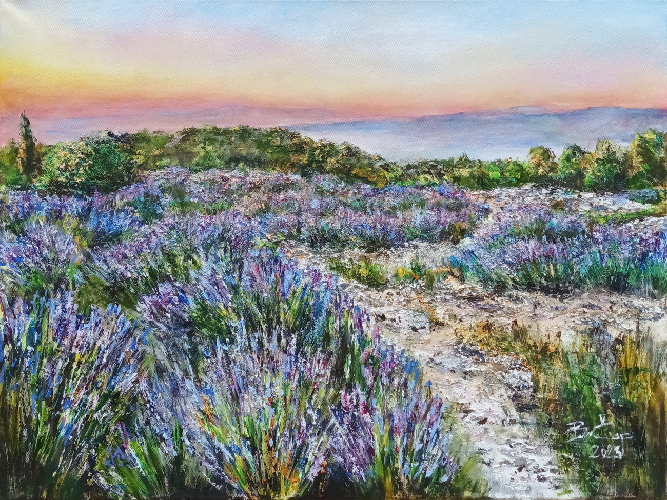 Hvarské levandule II.