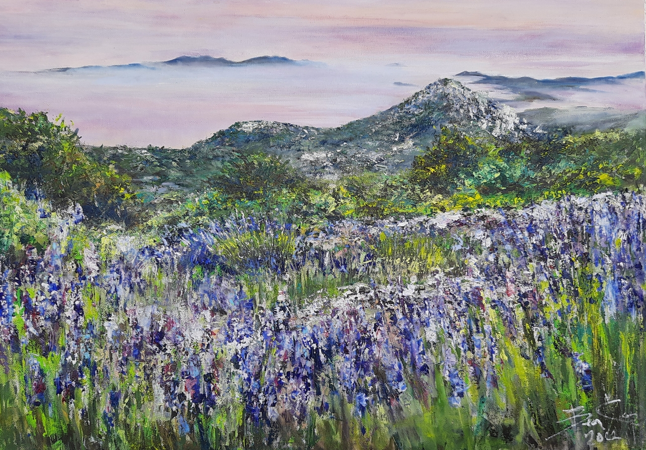 Hvarské levandule III.